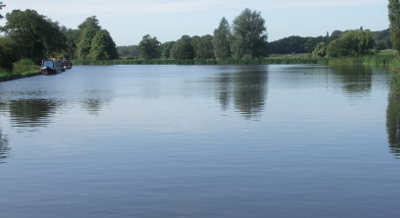 tixall wide 2