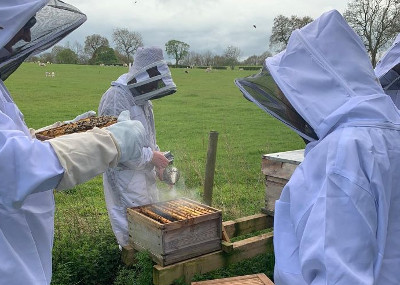 beekeepers 1