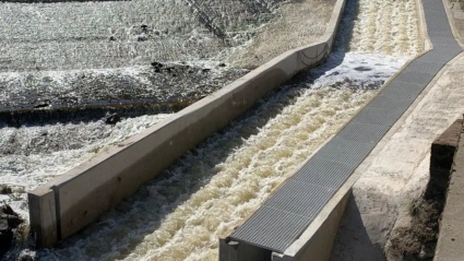 SalmonPasses