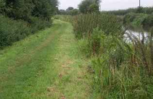 towpath for walkers