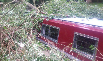 TreeOnBoatJPG